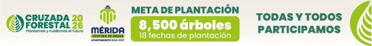WhatsApp-Image-2026-06-03-at-16.03.05